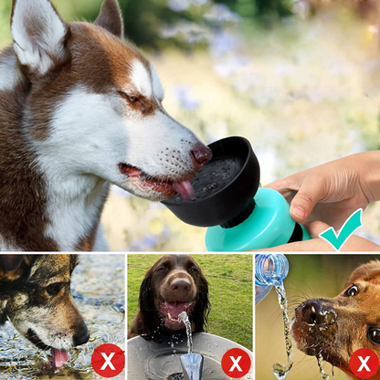 AquaPup™ | Waterfles Voor Huisdieren