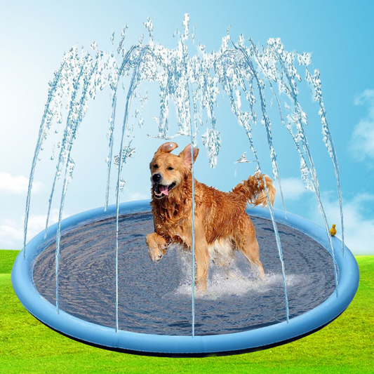 AquaBuddy™ | Jouw achtertuin waterparadijs!