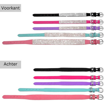 ShinePup™ | Luxe Halsband met Veiligheid