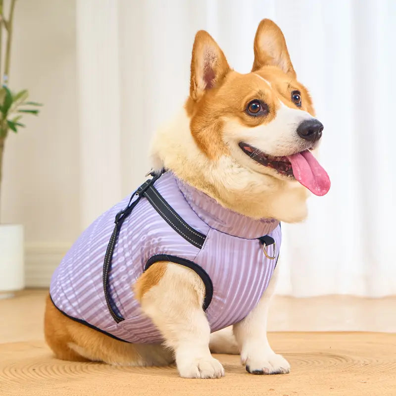 PupCozy™ | Waterdichte hondenjas met geïntegreerd harnas