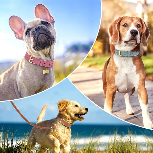 PrimePaw™ | Stijlvolle Leren Halsband