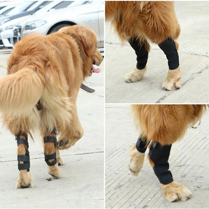 ActivePaw™ | Kniebrace voor veilige en pijnvrije beweging