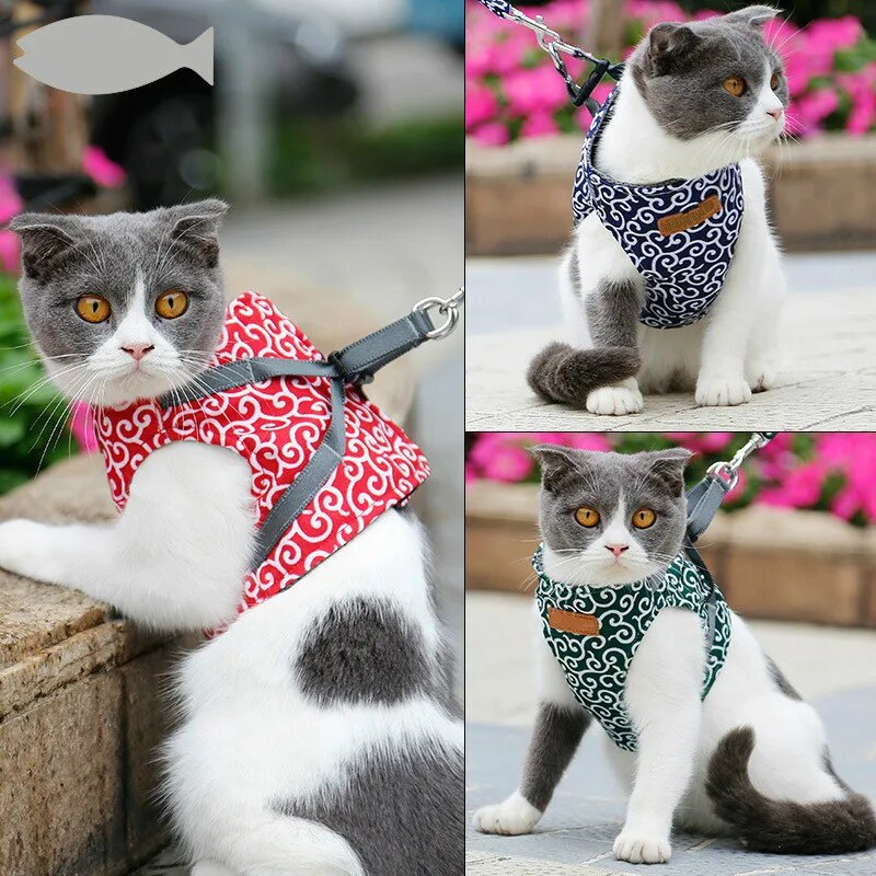 MeowMove™ | Ontdek Samen de Wereld