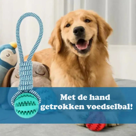 GrinBall™ | Combineert Spelen en Eten
