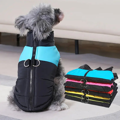 CoatPals™ | Nooit meer stress om regen en kou