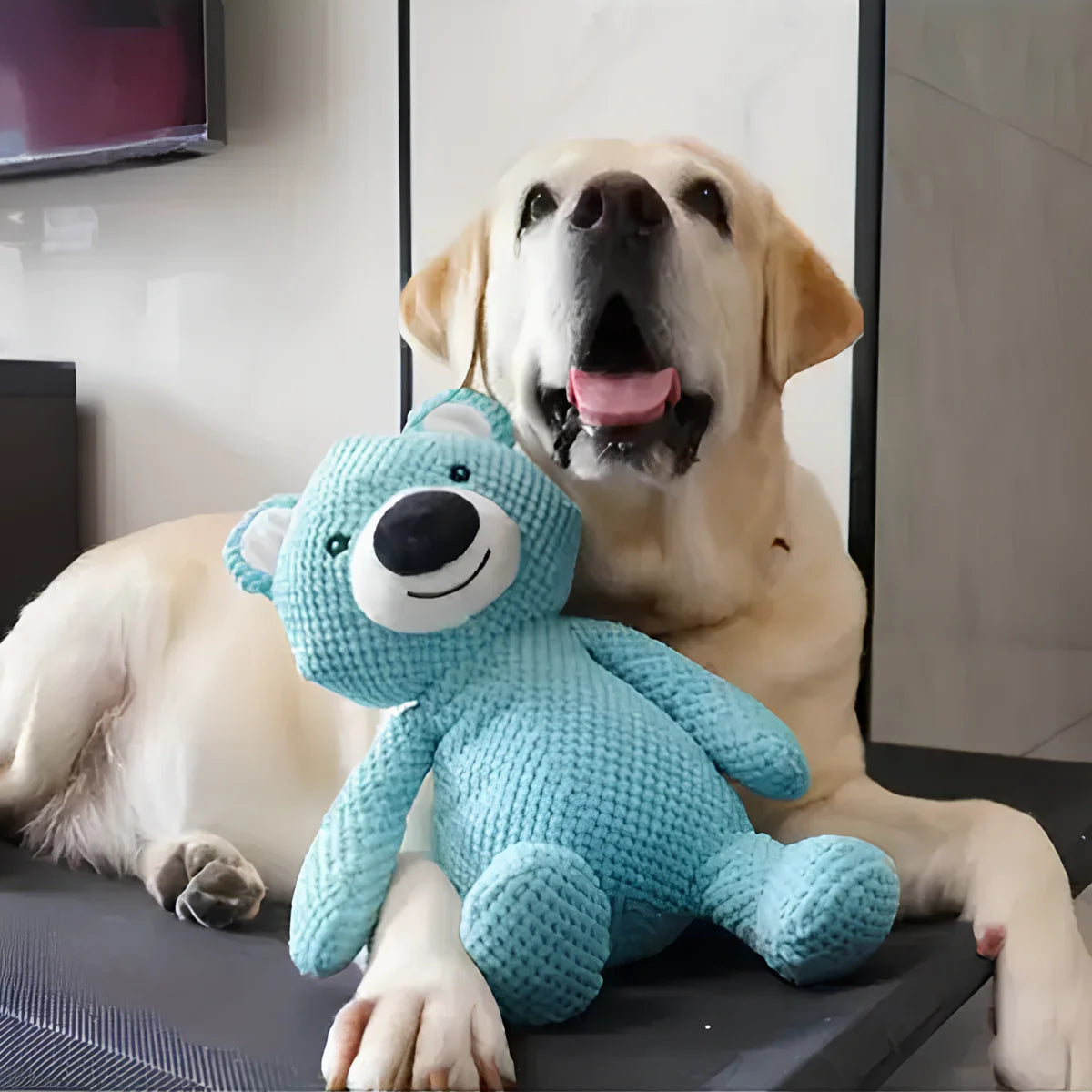 Plushie™ | Premium pluche speelgoed