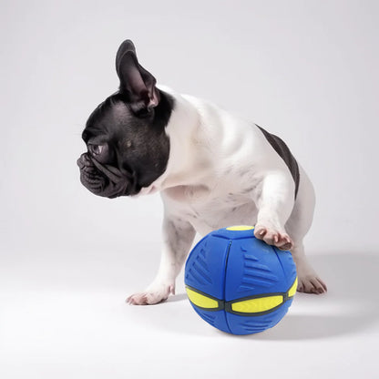 Magicball™ | Voorkom Angst door Gezonde Beweging