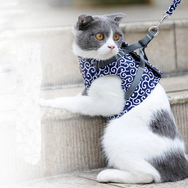 MeowMove™ | Ontdek Samen de Wereld
