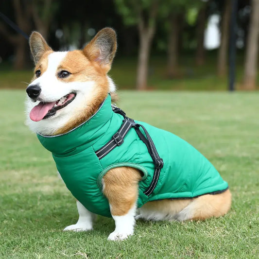 Barkie™ | Nooit meer koude wandelingen