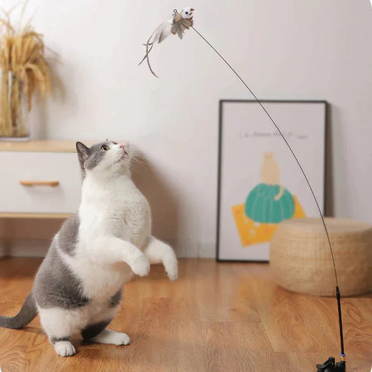 CatCatch™ | Houd je Kat Actief en je Meubels Heel