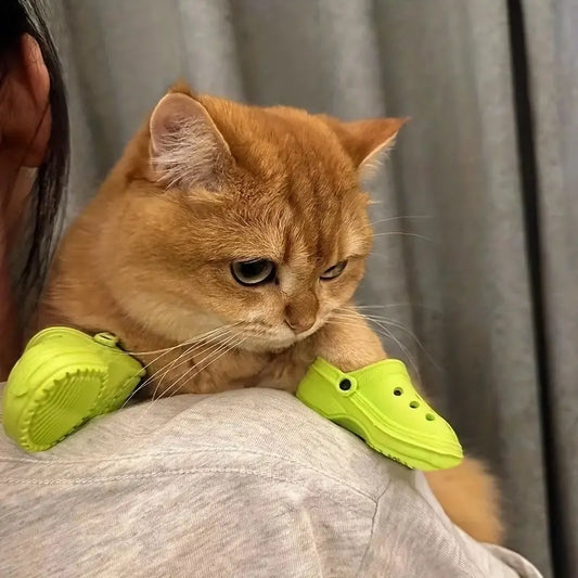 Pawlet™ | Nooit meer wondjes en scheurtjes