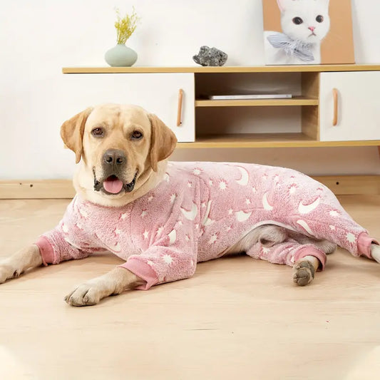 PawJam™ | Geen koude, bibberende honden