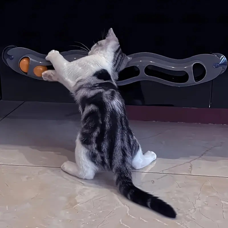 PawSlide™ | Spelen zonder verveling of schade