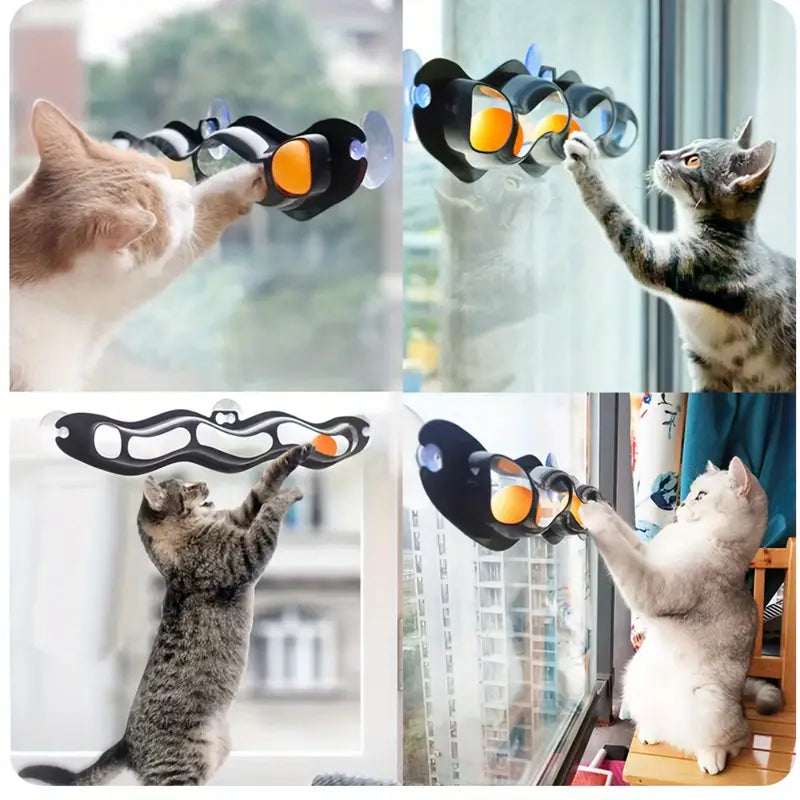 PawSlide™ | Spelen zonder verveling of schade