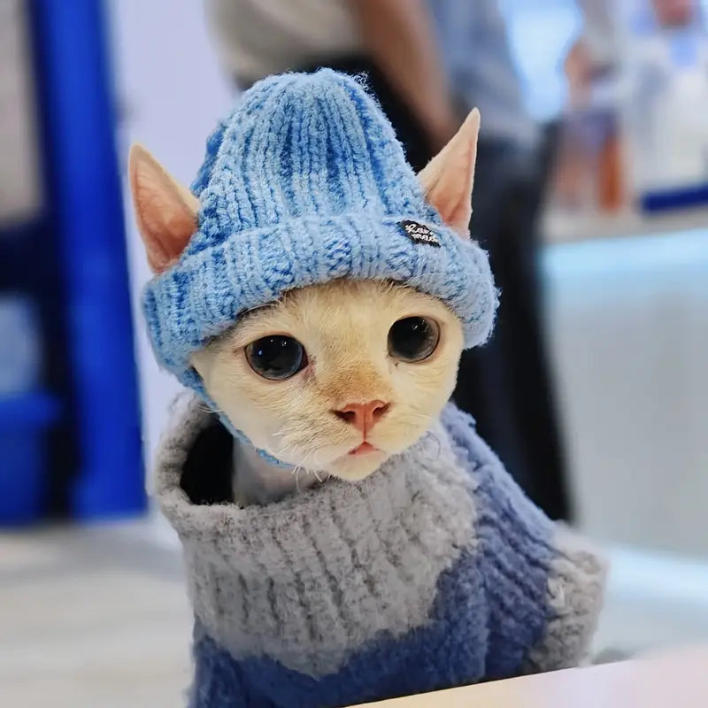 Hugsy™ | Wintermuts katten tegen stress
