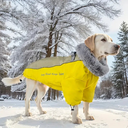 FurBud™ | Wind- en waterdichte hondenjas
