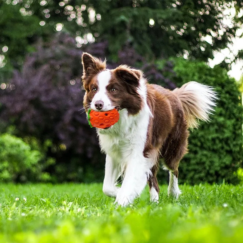 WoofBerry™ | Voor Frisse Adem en Gezonde Tanden