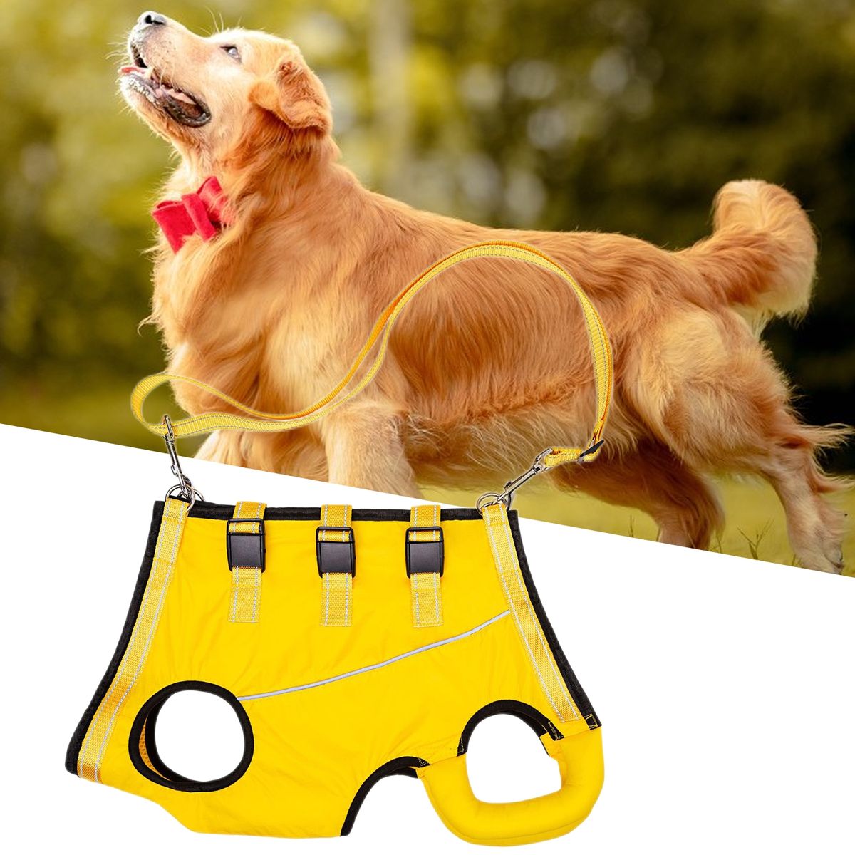 LiftHound™ | Revalidatie en Herstel Hulp Harnas