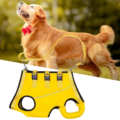 LiftHound™ | Revalidatie en Herstel Hulp Harnas