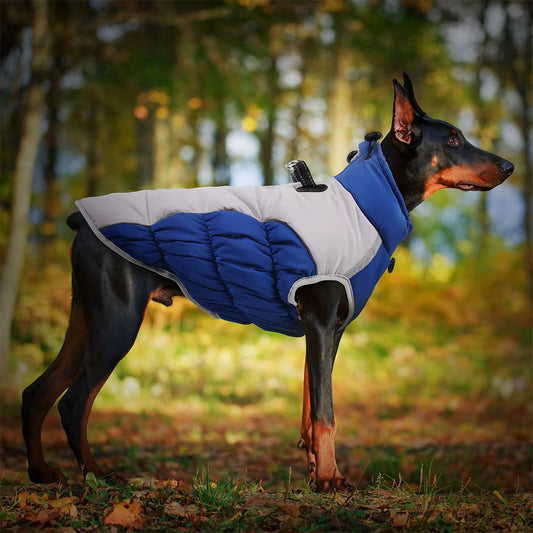 WagWarm™ | Hondenjas met Ingebouwd Harnas