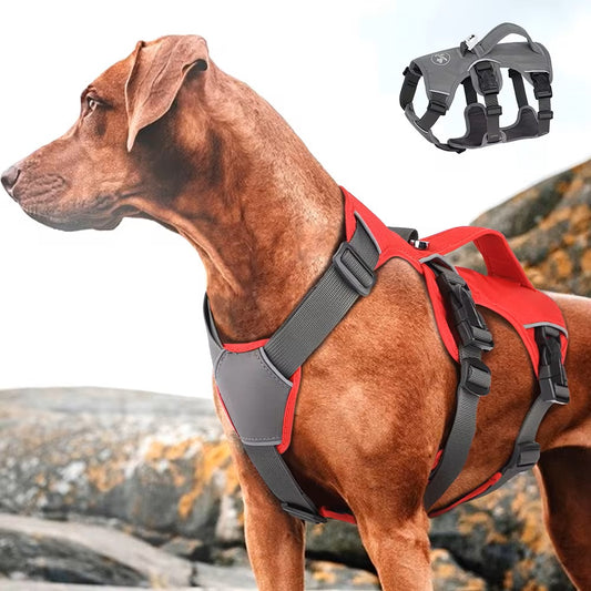 PawFlex™ | Premium No Pull Reflectieharnas