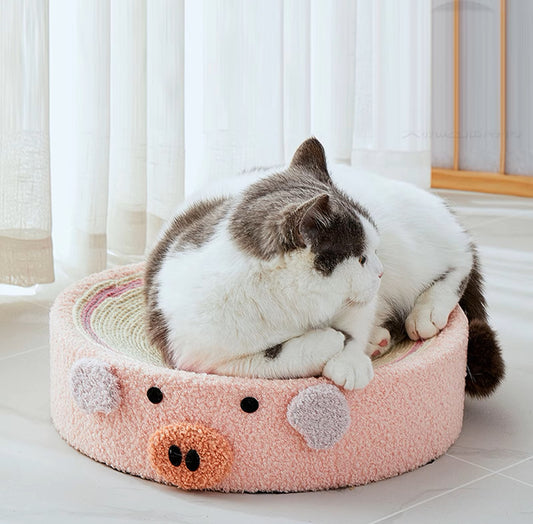 CatCraze™ | Verlicht Stress en Verhoog het Welzijn