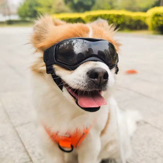 PupVisor™ | Trendy UV-Hondenbril
