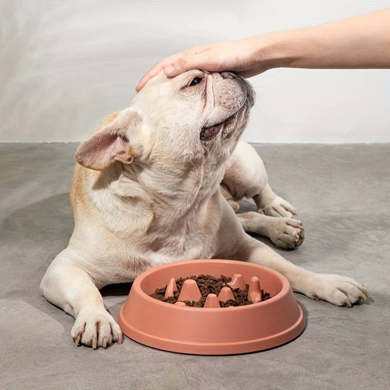 Foodie™ | Rustig Eten Slowfeeder Hondenbak