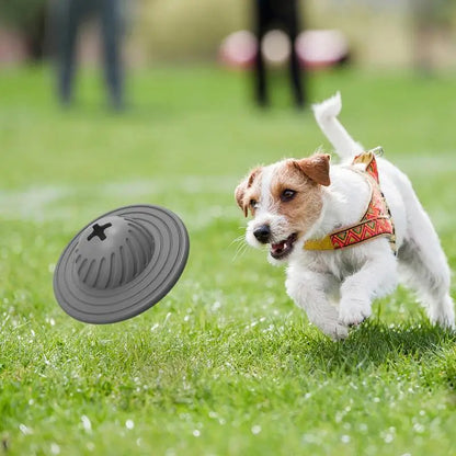 AstroChew™ | Interactief UFO Hondenbal