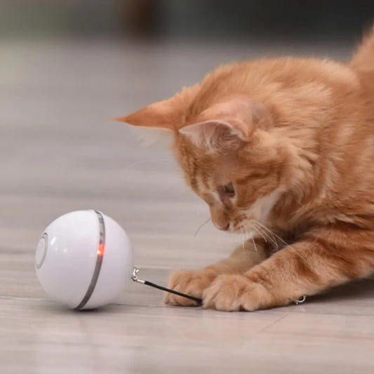CatJolly™ | Slimme Speelbal voor Huisdieren