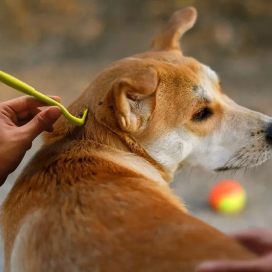 PawGrip™ | Effectief in Bescherming!