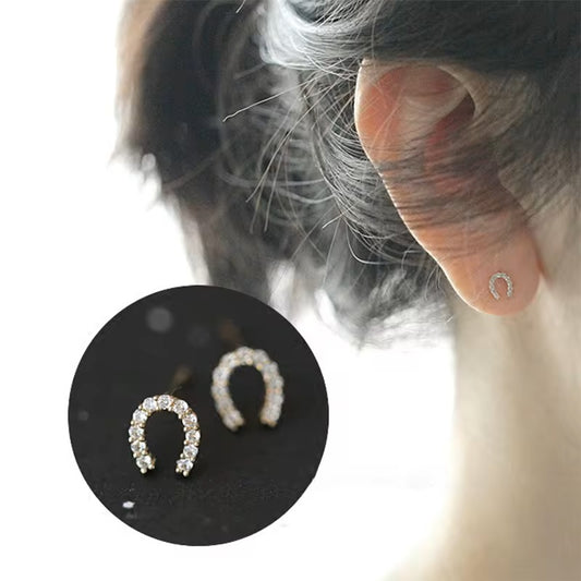 PonyGems™ | Tijdloze Luxe Paardenoorbellen