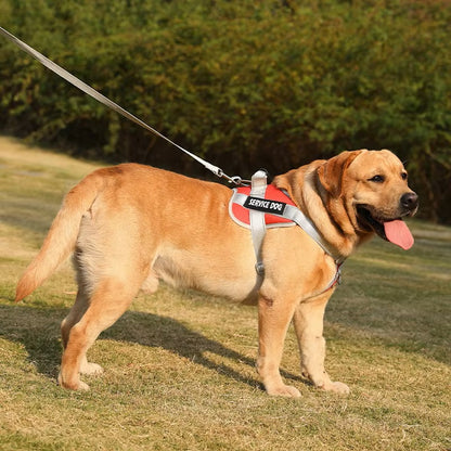 SecurePaws™ | Riem-Harnas voor HulpHond