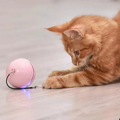 CatJolly™ | Slimme Speelbal voor Huisdieren
