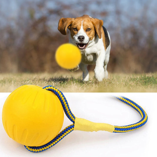 TitanBite™ | Sterke Kauwbal voor Honden