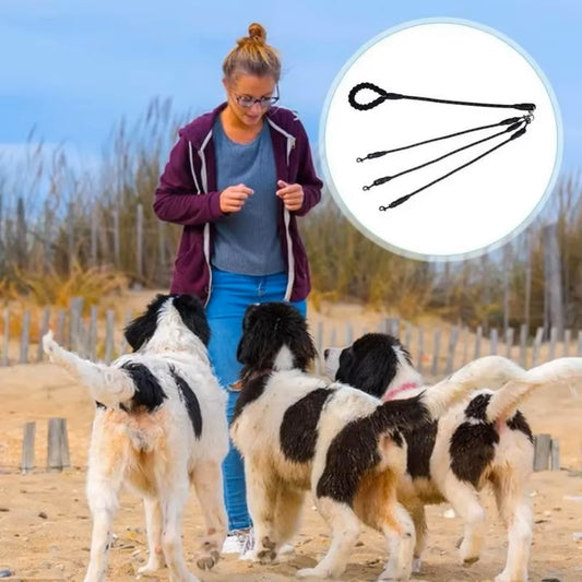 LeashUp™ | Split Riem Voor Drie Honden