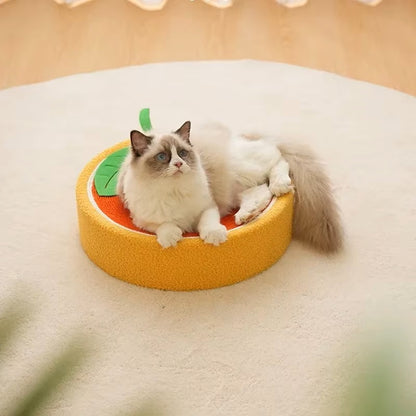 CatCraze™ | Verlicht Stress en Verhoog het Welzijn