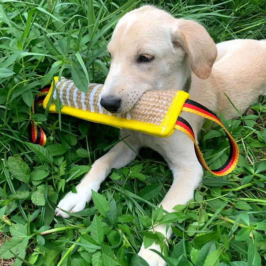 DogGrip™ | Ultieme Bijtkussen voor Honden