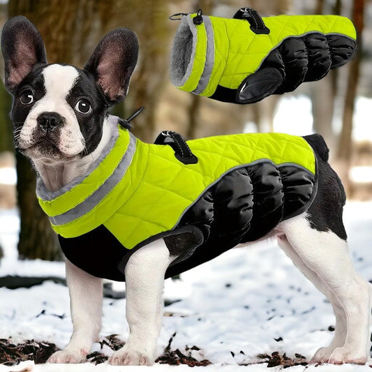 PawSure™ | Droog, warm en zichtbaar in regen en kou