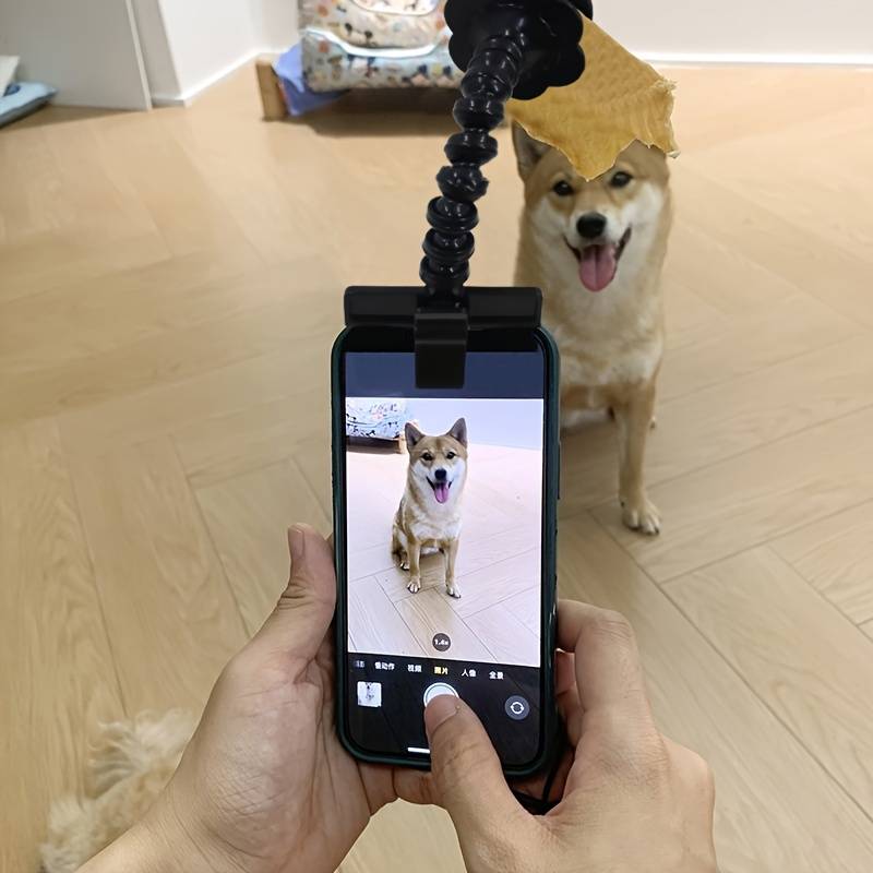PawPose™ |  Draagbaar en Professioneel