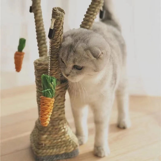 PawPeak™ | De Ultieme Kattenparadijs Krabpaal