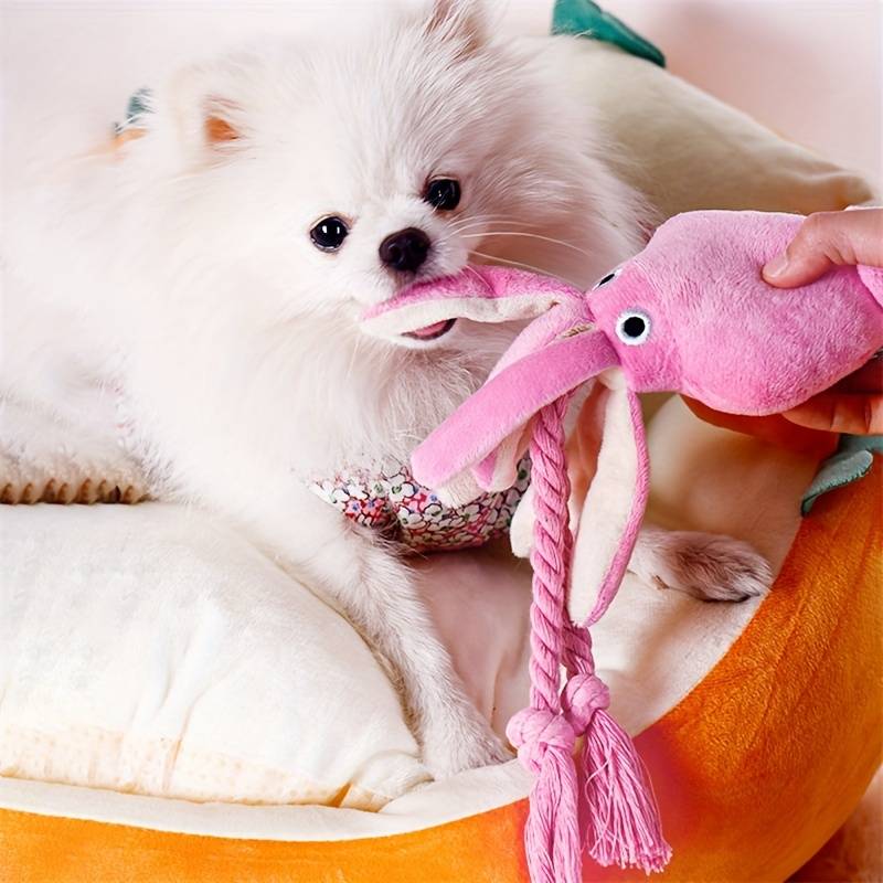 OctoChomp™ | Versterk Tanden en Speelplezier