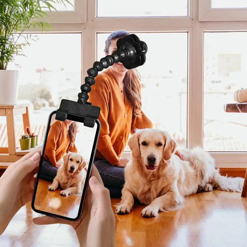 PawPose™ |  Draagbaar en Professioneel