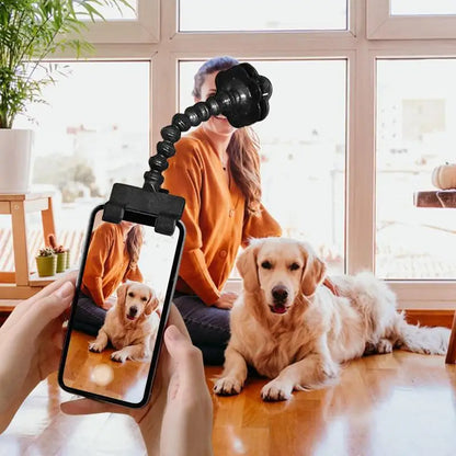PawPose™ |  Draagbaar en Professioneel