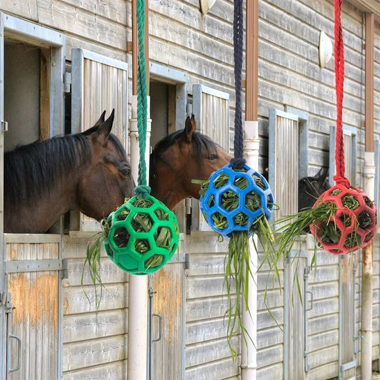 FoalFeast™ | Snackbal voor Paarden & Geiten