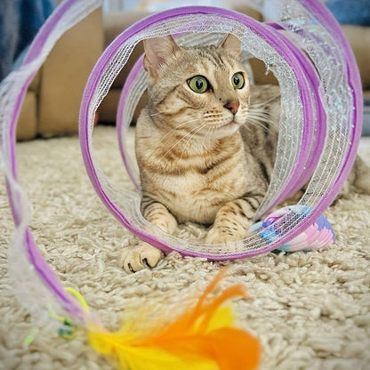 ClawCurl™ | Voor eindeloos speelplezier