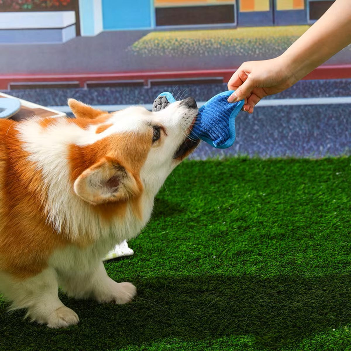 Doggle™ | Botvormig Speeltje met Pieper