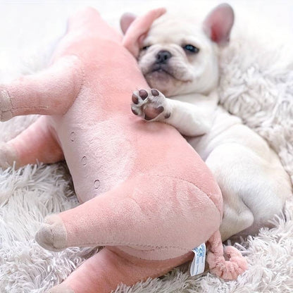 PigPals™ | Verminder Angst en Energie!