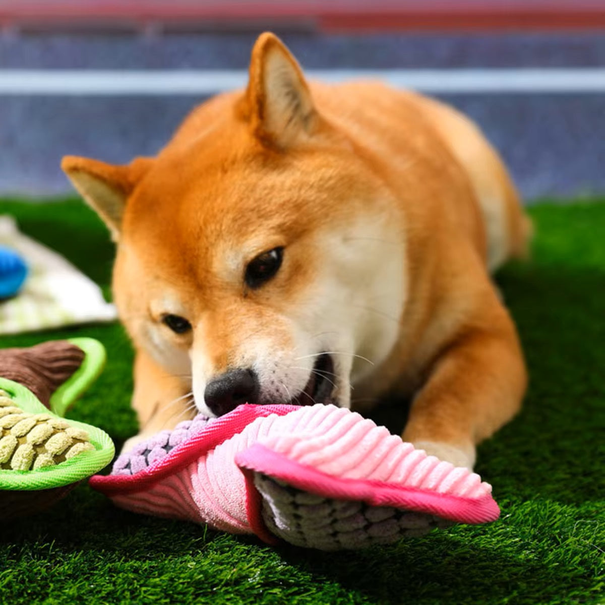 Doggle™ | Botvormig Speeltje met Pieper