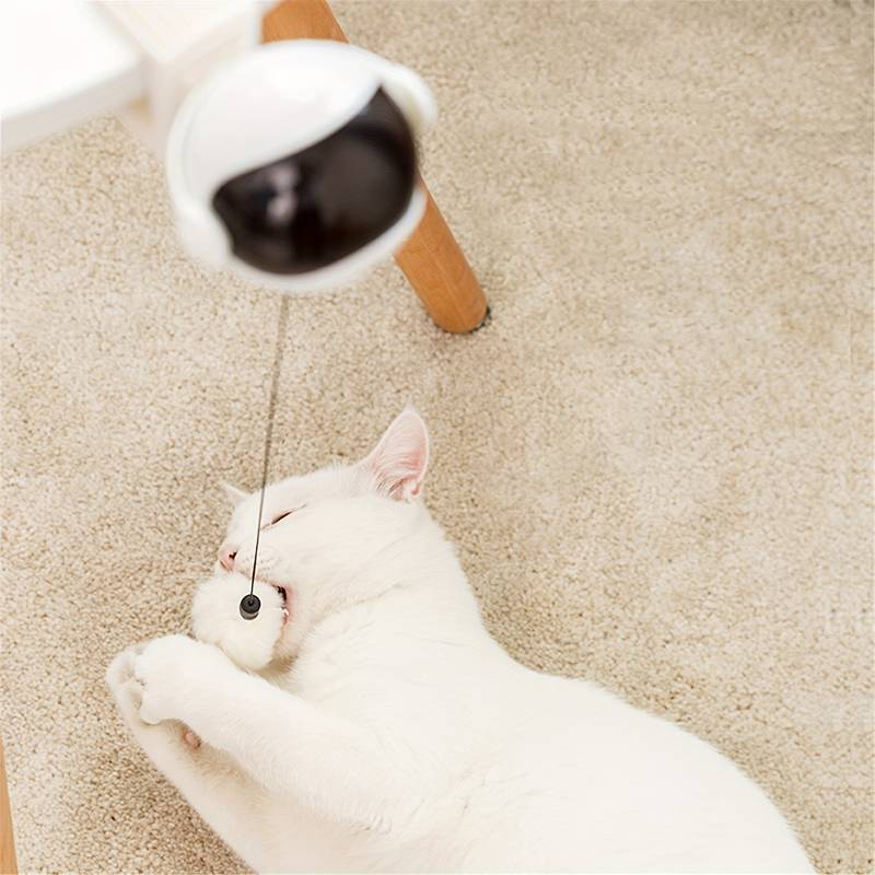 PurrPower™ | Automatische Bewegend Speeltje